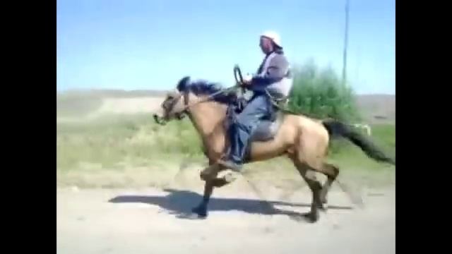 ЖАНАКОРГАН СЫРЫМНЫН ЖОРГАСЫ смотреть онлайн