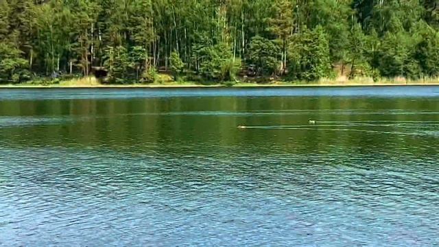 На озере с палаткой . Бараус и Сунгуль #поездка774 #озерачелябинскойобласти смотреть онлайн