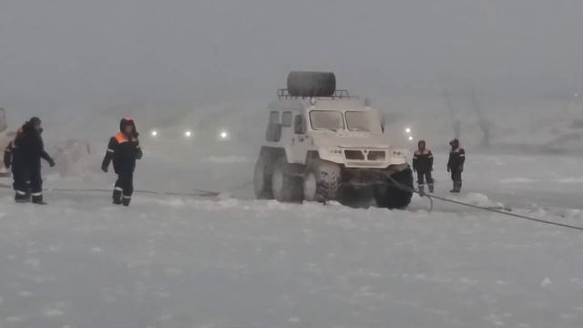 спасение трэкола из лап енисея смотреть онлайн