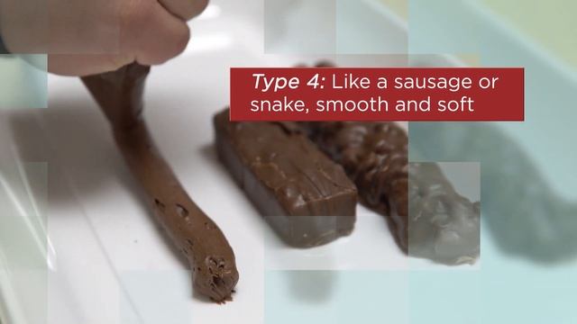 A visual guide to healthy poop смотреть онлайн
