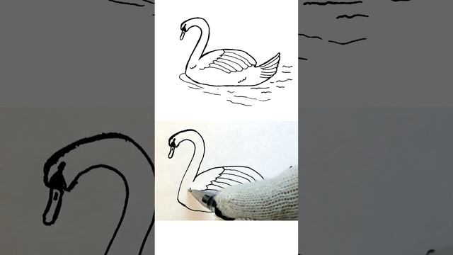 Как быстро нарисовать лебедя смотреть онлайн