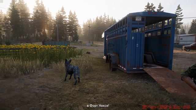 FarCry 5 (12) Истребление мяса-Не все золото,что блестит смотреть онлайн