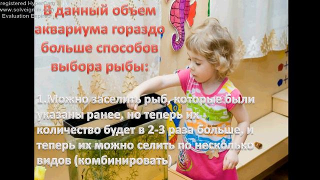 Аквариум для ребенка. Объем и рыбки!!!