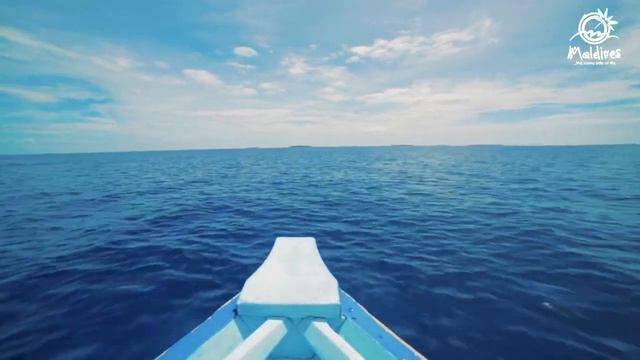 Полетели на Мальдивы! смотреть онлайн