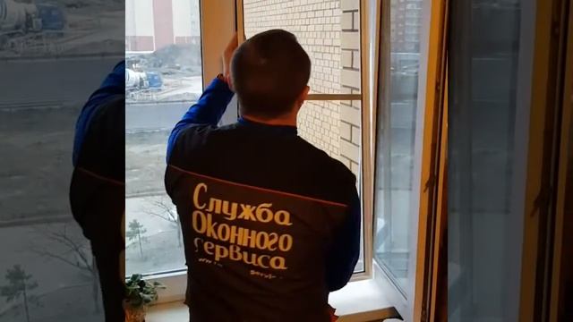 Внутренняя москитная сетка, или вставная смотреть онлайн