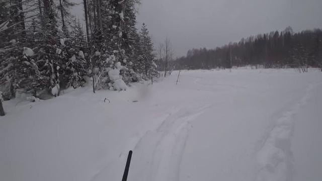 ОХОТА НА ВОЛКА/ВОЛКИ В ОКЛАДЕ/НЕ ВСЁ ТАК ПРОСТА КАК КАЖЕТСЯ. смотреть онлайн