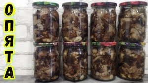 Вкуснейшие Маринованные Опята на зиму в Автоклаве рецепт.Маринованные грибы. Рецепт из грибов