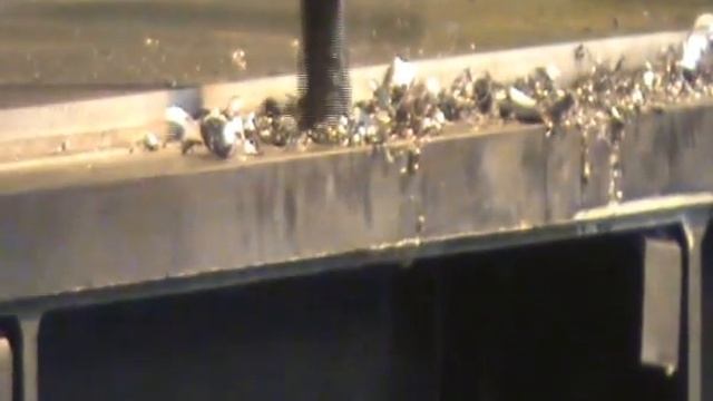 АС2550 - радиально-сверлильный станок смотреть онлайн