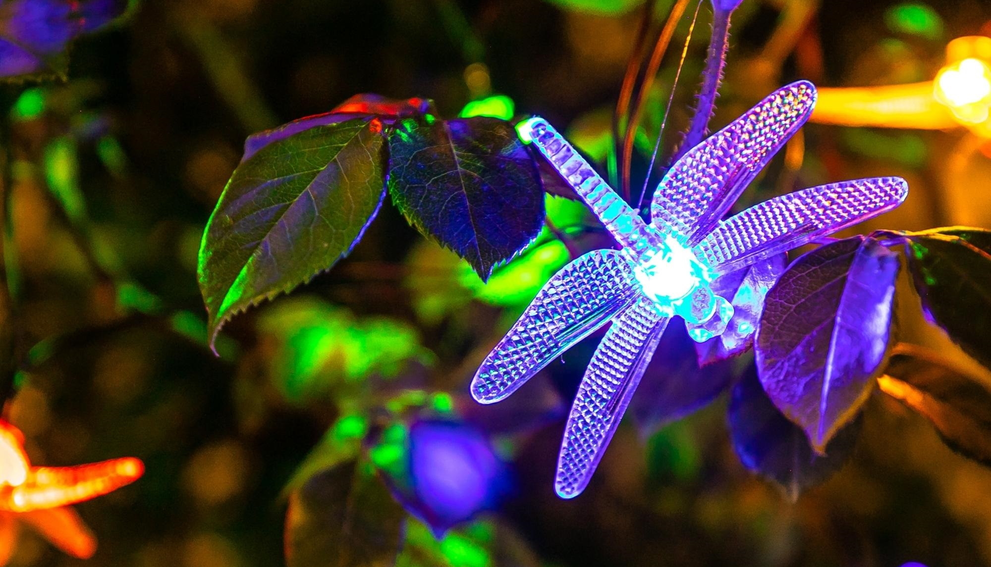 Гирлянда для сада Uniel солар USL-S-123/PT4000 Dragonflies 05302