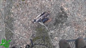 Охота с блочным луком