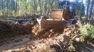 Т-170 работа трактора в лесу.