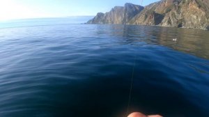 Ловля палтуса в Магадане! ловля на лайтовую снасть?