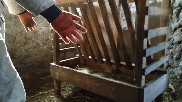 Кормушка для овец и коз, самые эффективные и простые смотреть онлайн