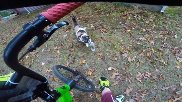 The Evolution of My Backyard Pump Track - Episode #1 смотреть онлайн