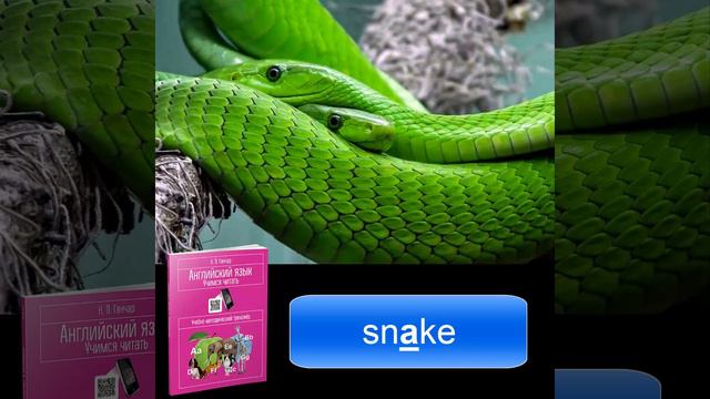 Ганчар Н.П. Английский язык. Учимся читать. Буква А. Задание 1: snake смотреть онлайн