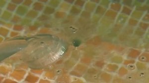 Водоворот с помощью душа