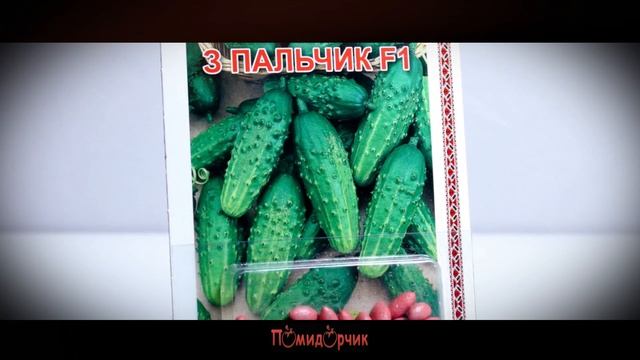 Семена Огурец Мальчик с пальчик F1 дражированные - Помидорчик смотреть онлайн