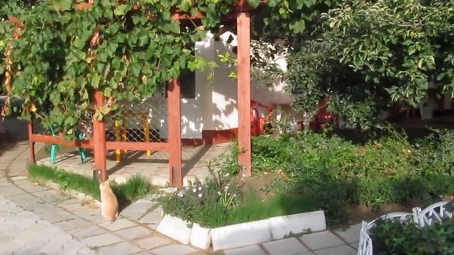 ПЛОЩАДКА ДЛЯ ОТДЫХА смотреть онлайн