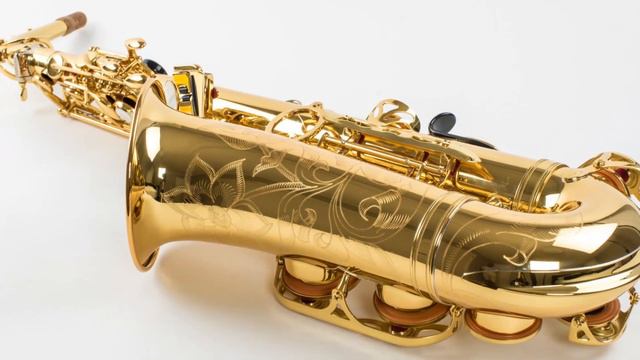 Top 5 Best Saxophone Brands of 2017 смотреть онлайн