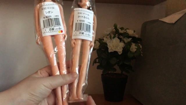 Licca Castle: KAKERU, SHION, SWEETS от Takara Tomy. For adults only смотреть онлайн