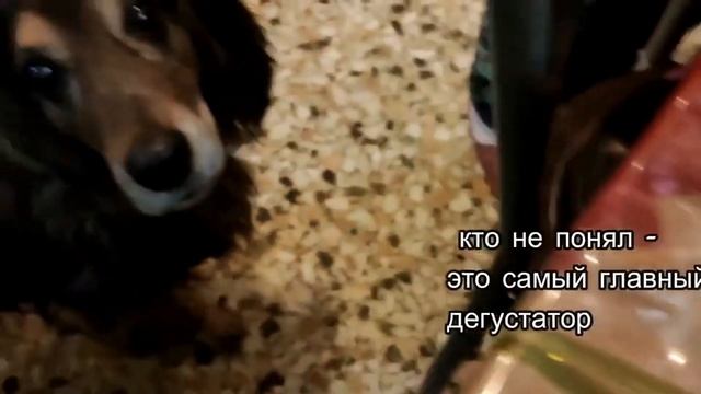 Спанакопита - пирог со шпинатом. Spanakopita - Spinach Pie. Σπανακόπιτα.