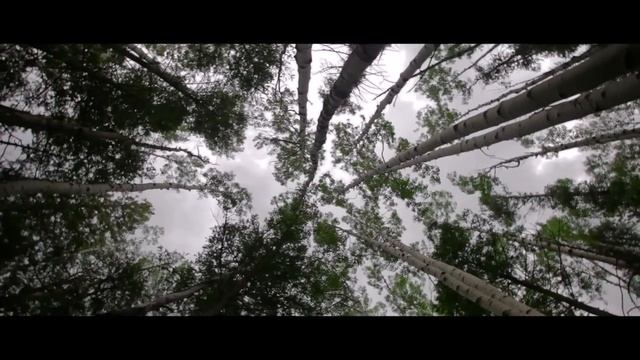 Тили-тили-бом смотреть онлайн
