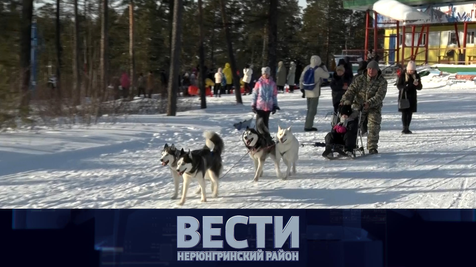 Выпуск от 19 11 2022.mp4 смотреть онлайн