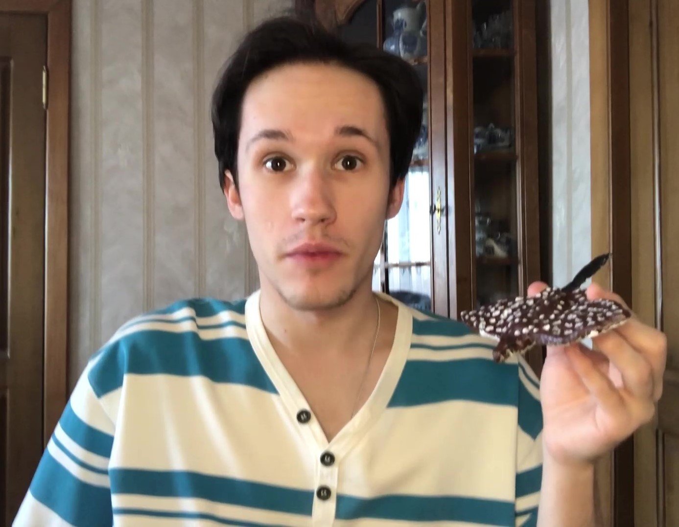 Яркий пятнистый скат: леплю из глины ската-орляка смотреть онлайн