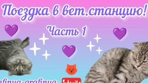 Видео 16 . Поездка в вет. станцию! Часть 1 .