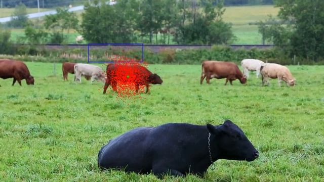 Tracking using Particle Filter and Backprojection смотреть онлайн