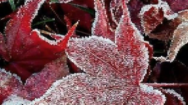 #стихи Стихотворение "Анна " смотреть онлайн