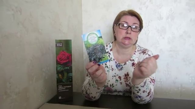 Гейхера - размножение семенами. Посев Львиного зева. Покупочки для сада. смотреть онлайн