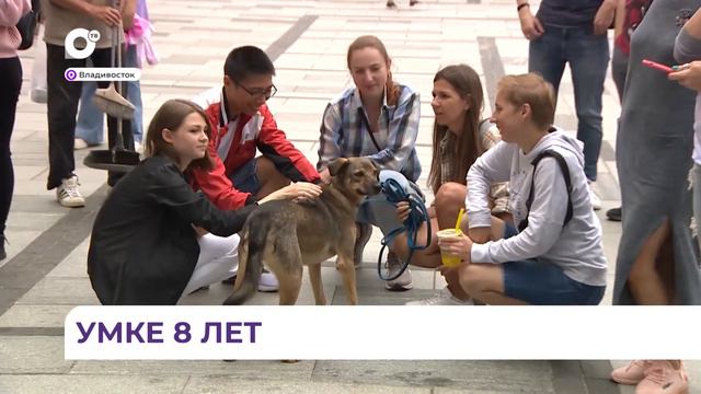 Фонд "Умка" отметил очередной день рождения смотреть онлайн