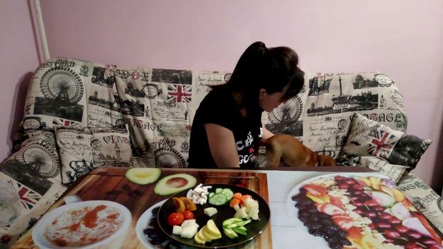 Собака веган!!!Той-терьер кушает авокадо! смотреть онлайн