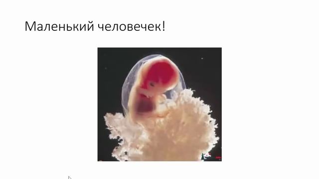 8 неделя беременности, что происходит с женщиной смотреть онлайн