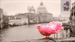 Классическая музыка эпохи барокко