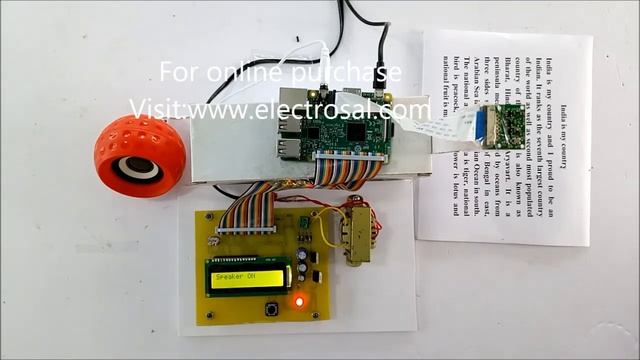 RASPBERRY PI BASED BLIND READER //Engineering / electrical / electronic / project / diploma смотреть онлайн