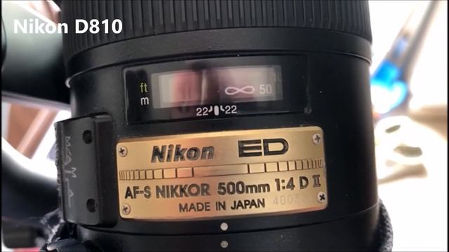 Speed Test Nikon 500 f4 Afs-II with Nikon Z6 , Nikon D810 & Nikon D500 смотреть онлайн
