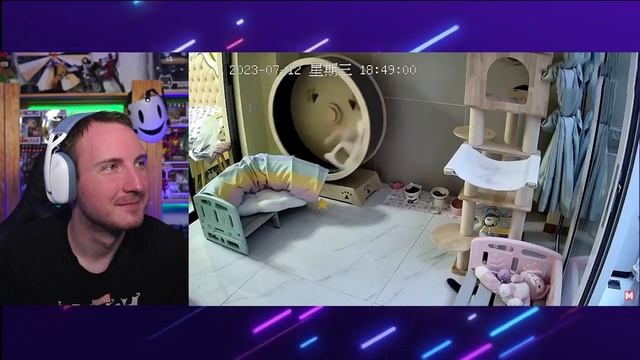 45 Невероятных Моментов, Снятых на Камеры Наблюдения | РЕАКЦИЯ на Мастерская Настроения смотреть онлайн