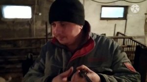 Какую Вентиляцию Сделать В свинарнике Лучше ?