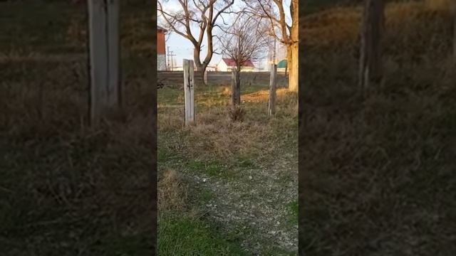 делаю сальто от стены смотреть онлайн