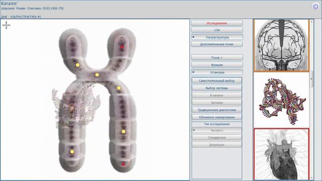 Программное обеспечение для диагностики Metapathia Hospital