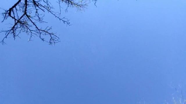 Que hay del otro lado de donde entreno? смотреть онлайн