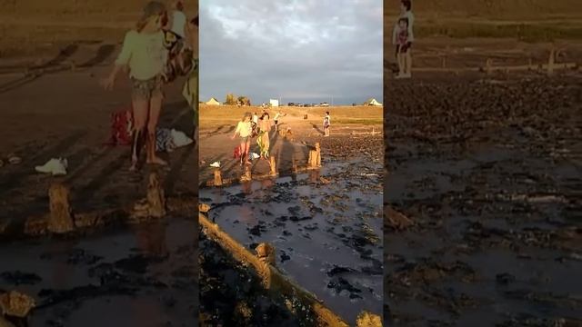 Геническ. Фотосессия на розовом озере. Как подготовится? смотреть онлайн