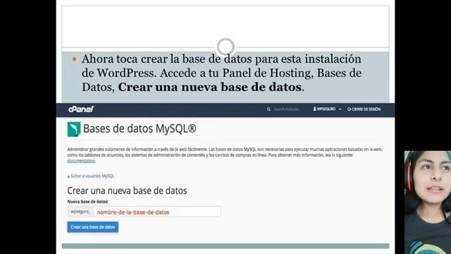 CMS WordPress - DISEÑO WEB смотреть онлайн
