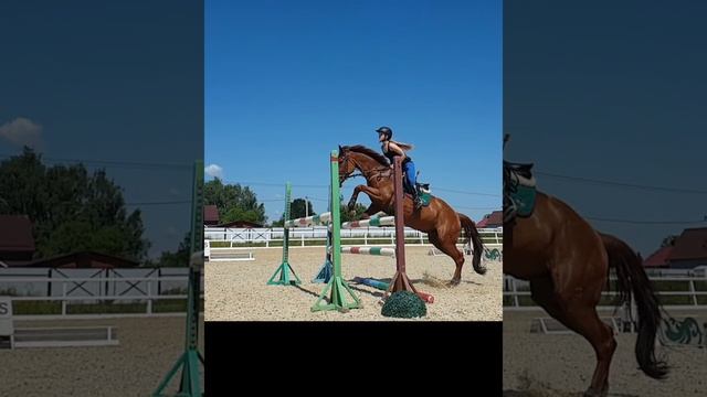 Это конкур детка)) #Horse #horsejumping #кони #лошади#конкур смотреть онлайн