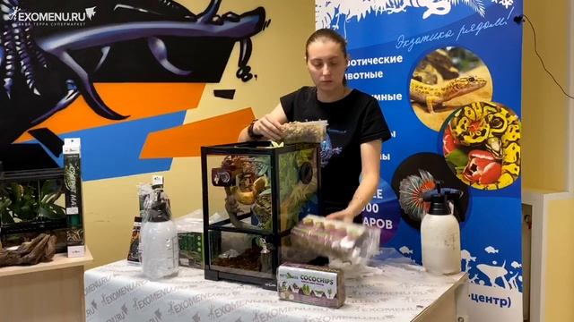 Мастер-класс по оформлению террариума Repti Zoo для геккона бананоеда (запись онлайн трансляции) смотреть онлайн