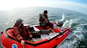 Лодка Stormline Штормлайн AIR 400 нднд под мотором Yamaha 8лс