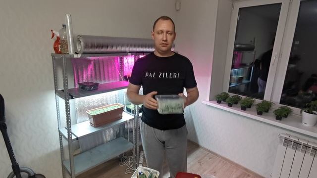 ТОП 3 МИКРОЗЕЛЕНИ - САМЫЕ ХОДОВЫЕ КУЛЬТУРЫ - МИКРОЗЕЛЕНЬ ДОМА - БИЗНЕС ИДЕИ - БИЗНЕС С НУЛЯ НА ДОМУ смотреть онлайн