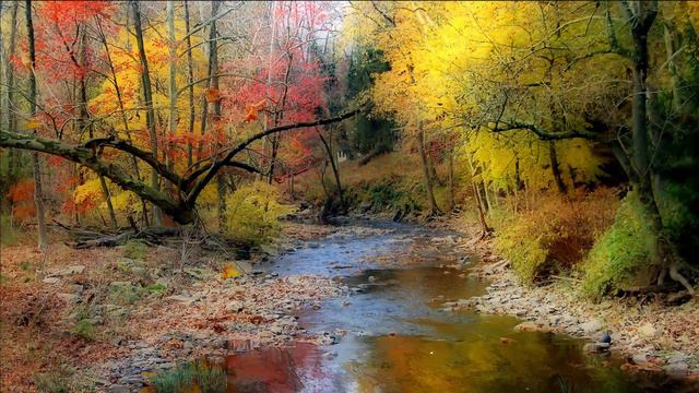 Musique Relaxante, Flûte Et De La Nature, Musique Pour Dormir